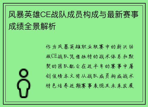 风暴英雄CE战队成员构成与最新赛事成绩全景解析